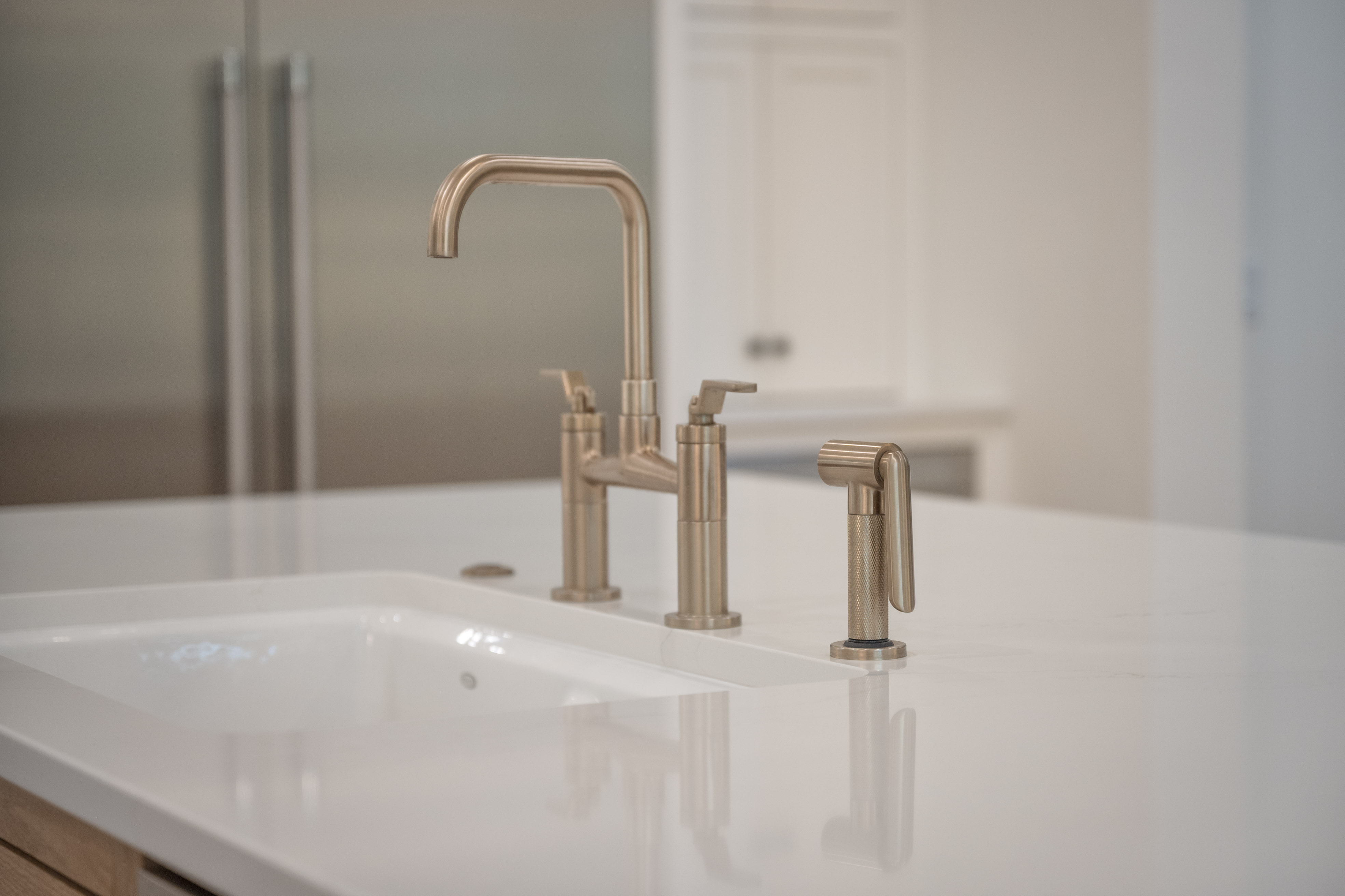 1041 Holt's Ferry image 19